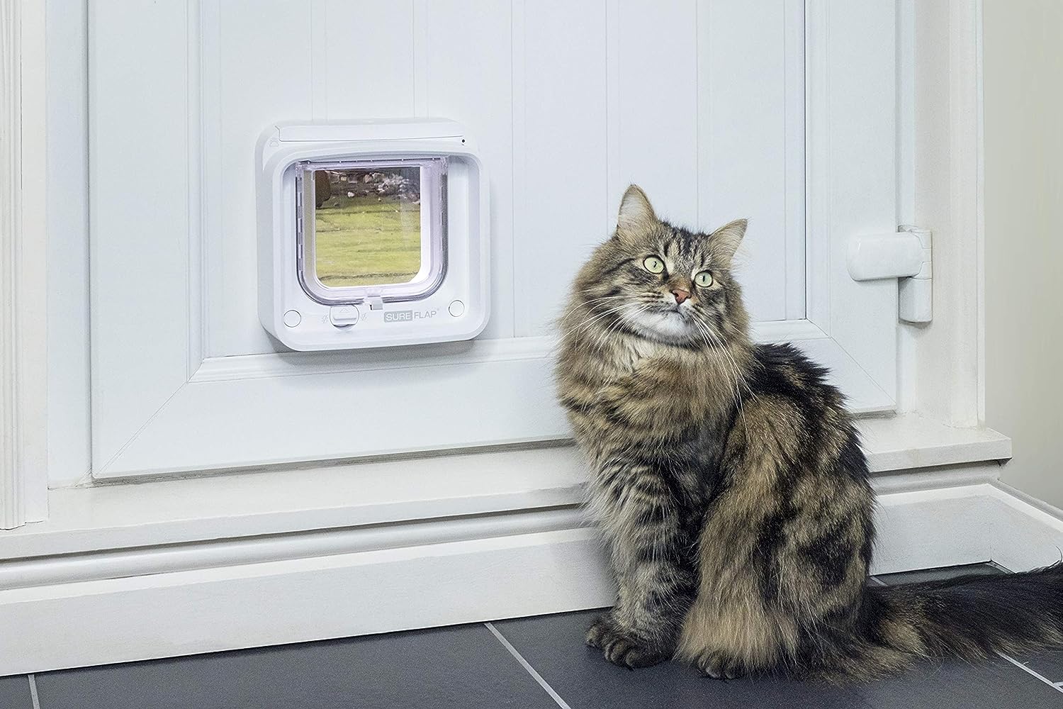SureFlap Cat Connect with Hub Cat Flap iDSCFWTB1