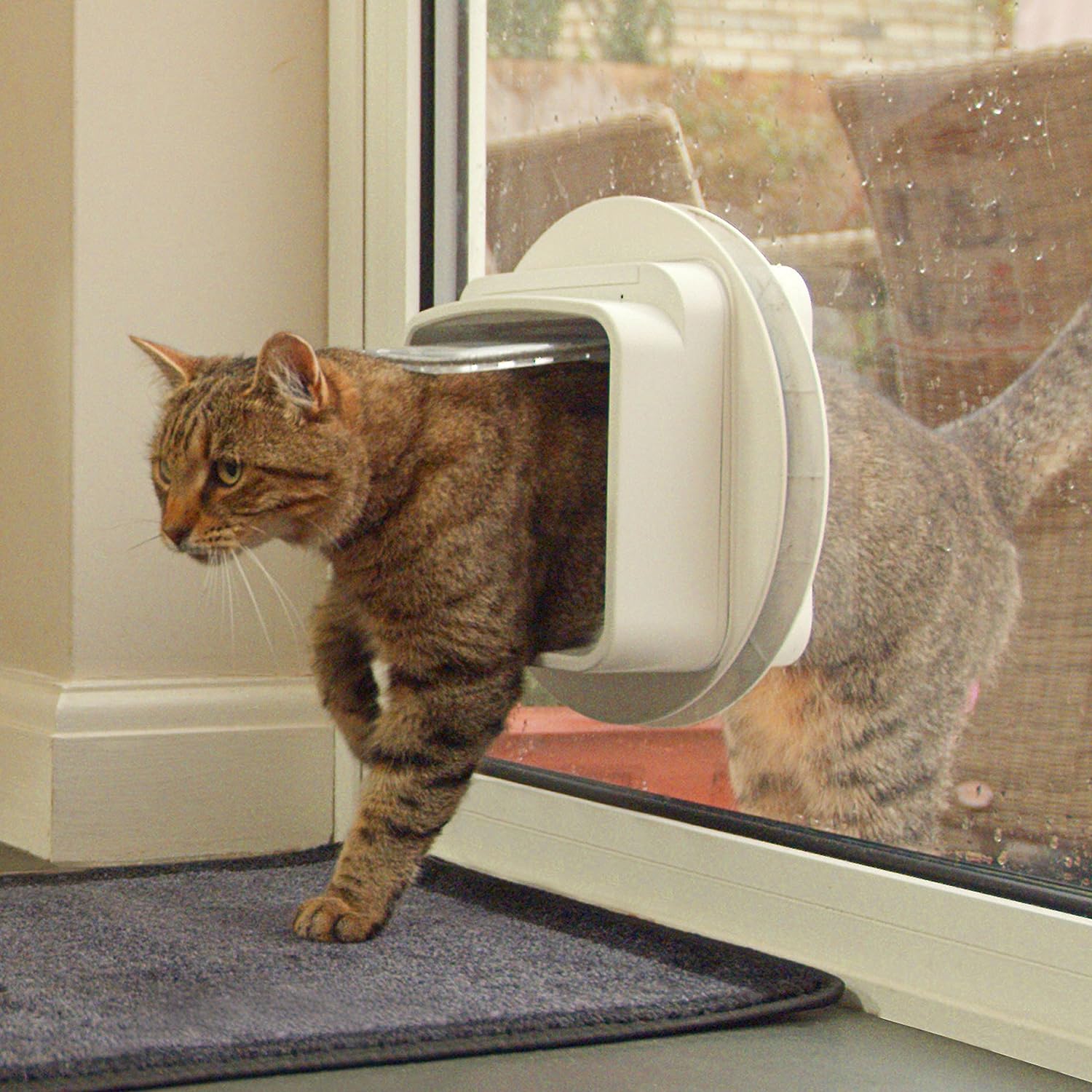 SureFlap Dual Scan Cat Flap DSCF001