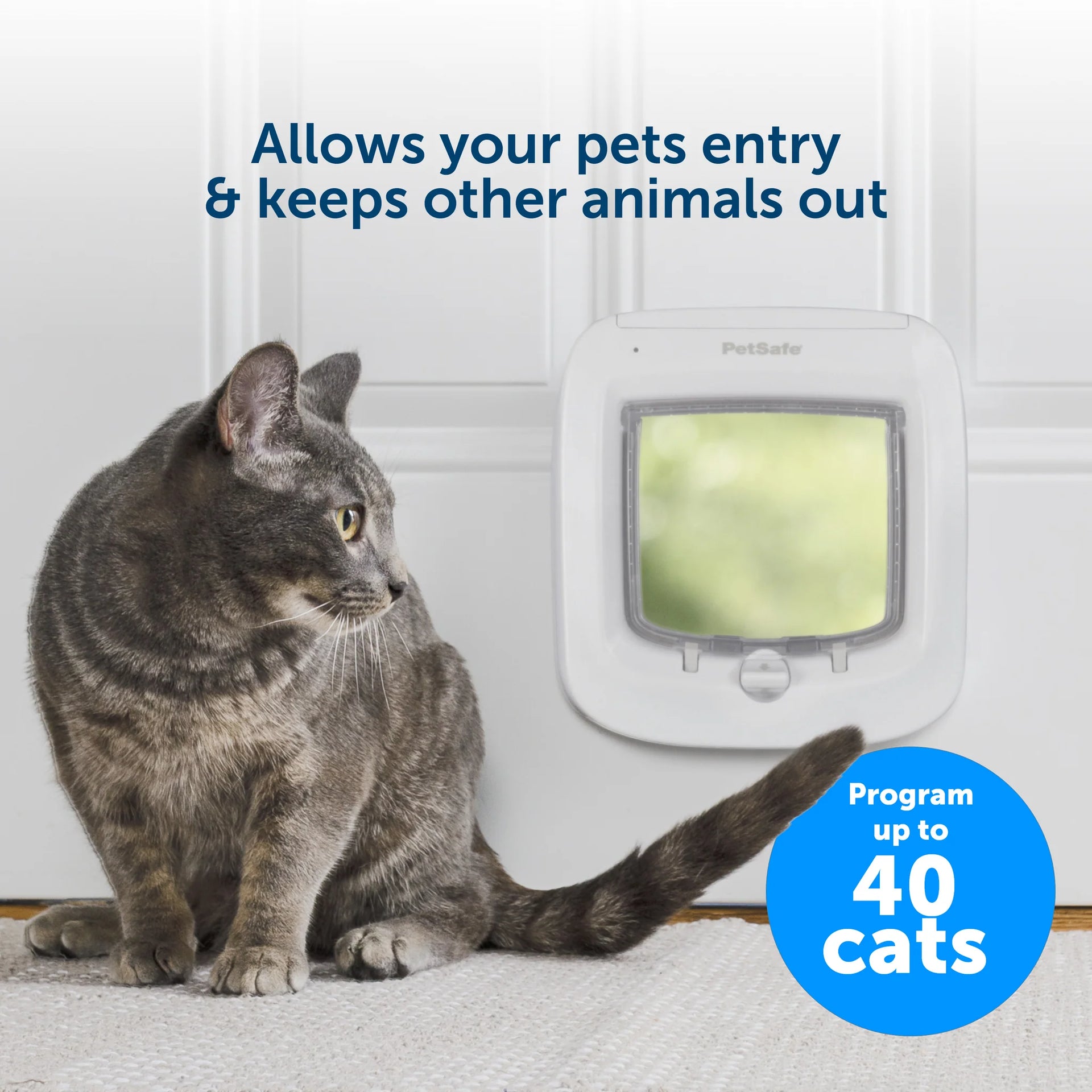 PetSafe Microchip Cat Flap Brown PPA19-16811