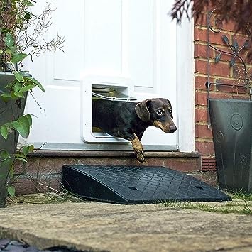 SureFlap Pet Connect with Hub Pet Door iMPDWTB1
