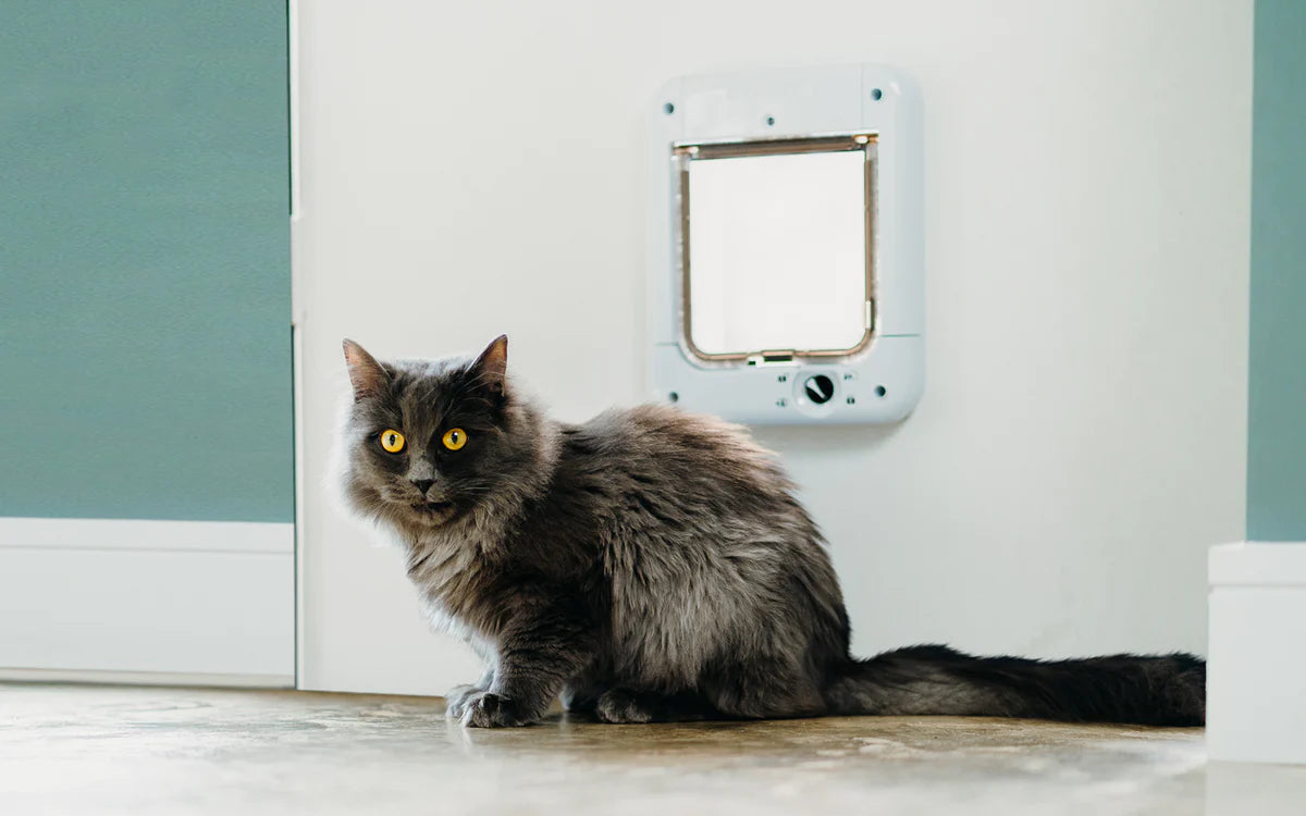 Closer Pets Microchip Cat Flap White CP360W