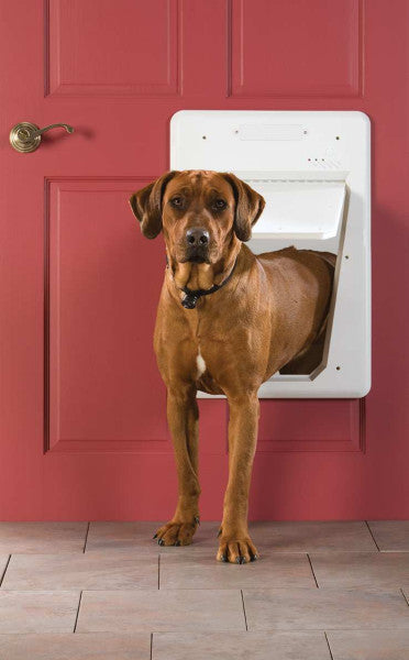 Large electronic doggie door hotsell