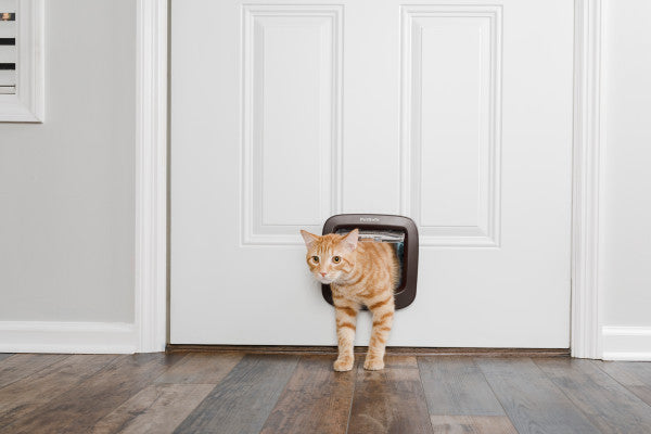 PetSafe® Manual-Locking Cat Flap Brown PPA19-16731