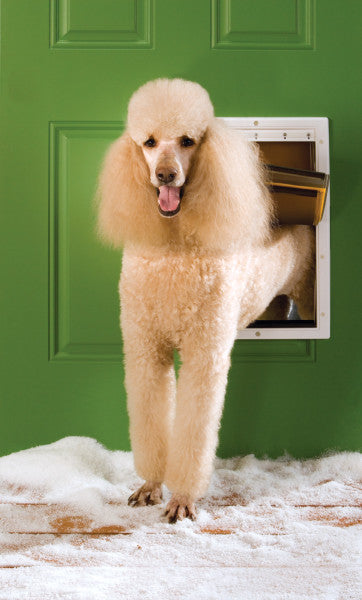 PetSafe® Extreme Weather Door™ Large PPA19-15796