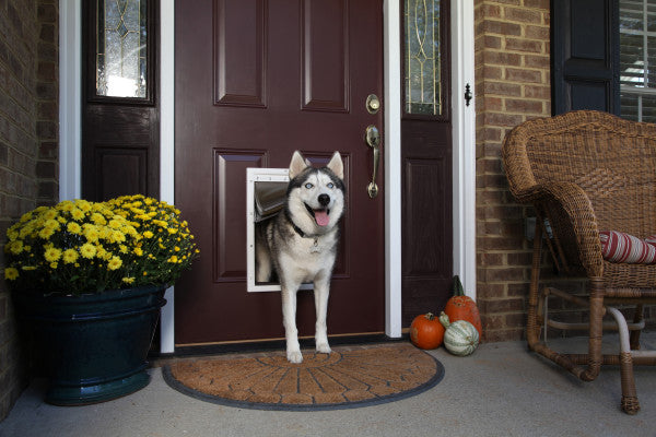 PetSafe® Extreme Weather Door™ Large PPA19-15796