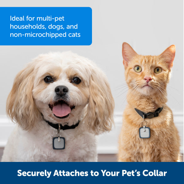 PetSafe® SmartDoor Connected Pet Door Medium ZPA19-17252