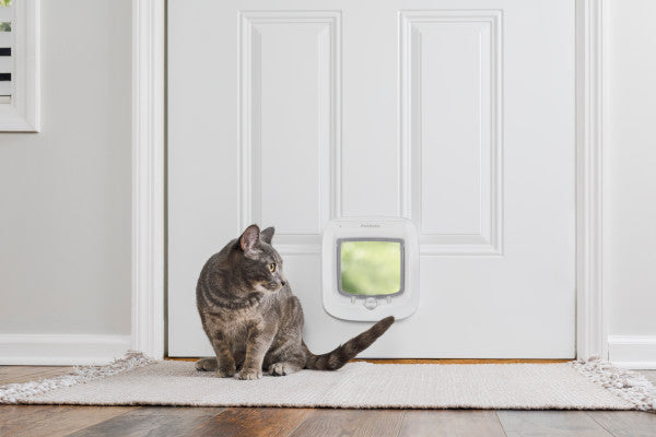 PetSafe Microchip Cat Flap White PPA19-16145