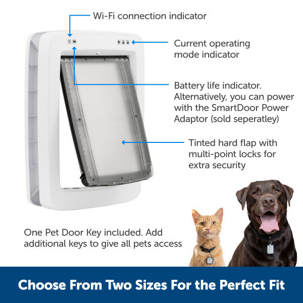 Dog flap microchip fashion medium