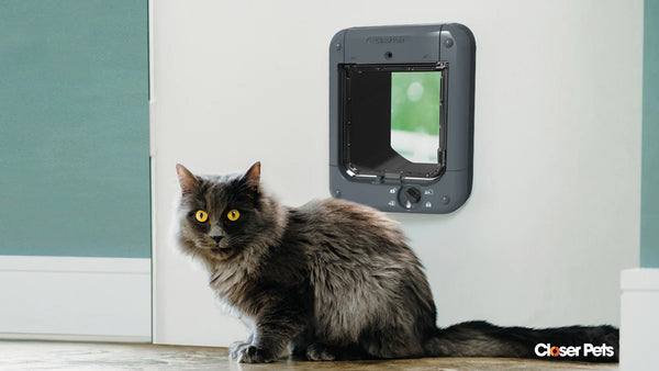 Closer Pets Microchip Cat Flap Dark Anthracite Grey CP360G