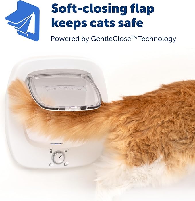 PetSafe® Big Cat Flap White PPA10-17882