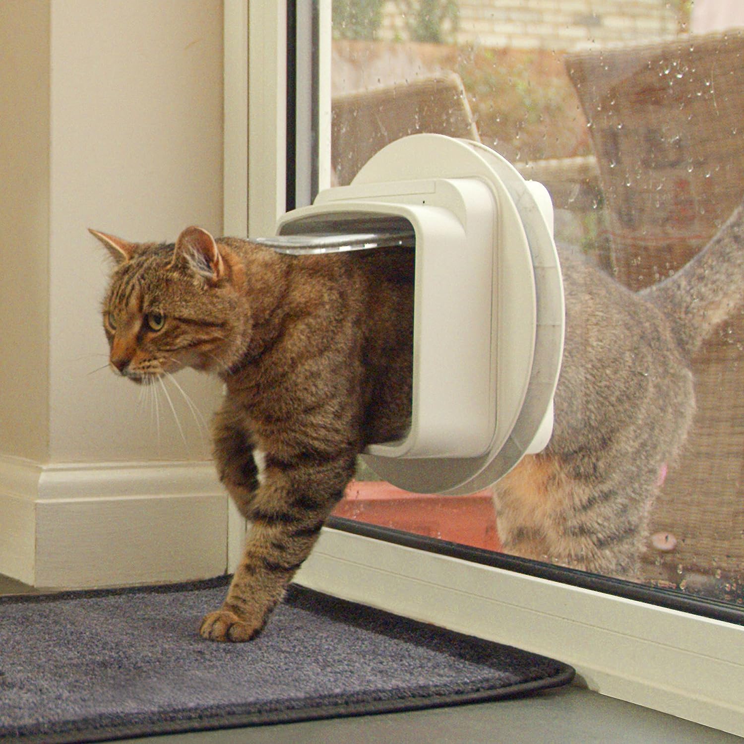 Cat flap through glass hotsell