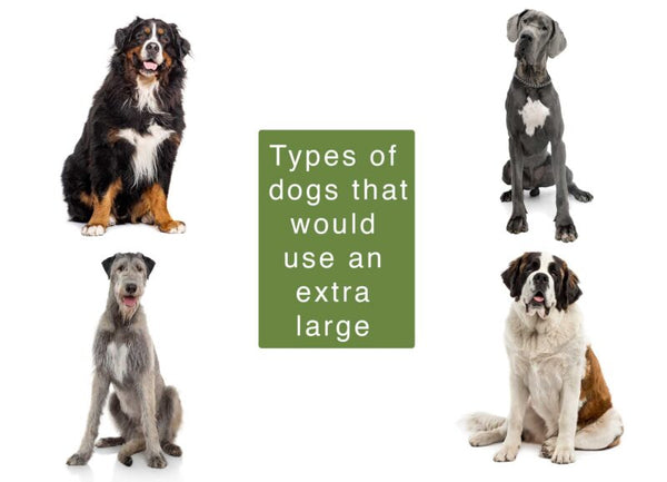 RANGER Pet Door for Doors White Frame White Flap Extra Large DM-XL-WHTWHT