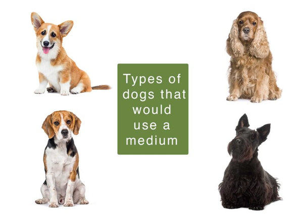 RANGER Pet Door for Doors White Frame White Flap Medium DM-M-WHTWHT