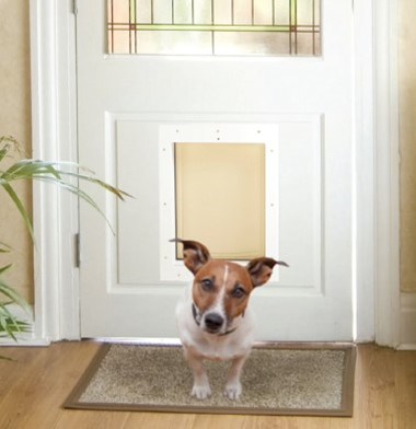 RANGER Pet Door for Doors White Frame White Flap Small DM-S-WHTWHT