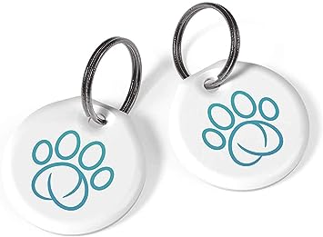 SureFlap Pet Connect with Hub Pet Door iMPDWTB1