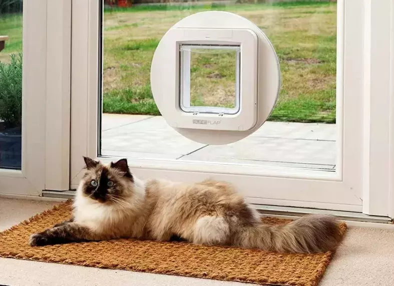 Sureflap cat best sale