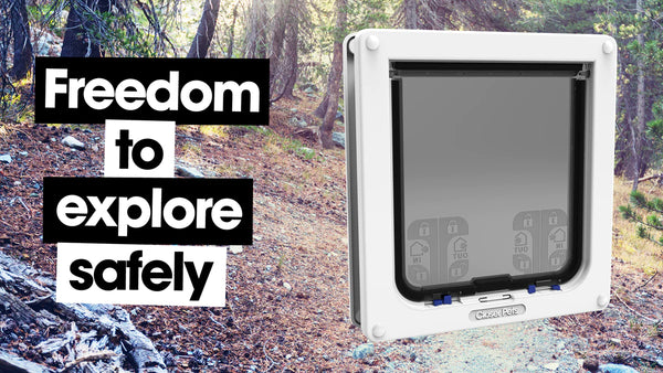 Closer Pets Large Cat / Small Dog Door fitting Pet Flap White CP221W