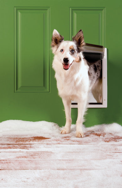 PetSafe® Extreme Weather Door™ Large PPA19-15796