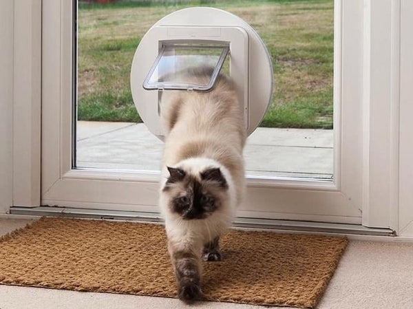 SureFlap Microchip Cat Flap White/Grey SUR001GYWT