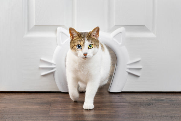 PetSafe® Cat Corridor™ Interior Pet Door ZPA19-17227