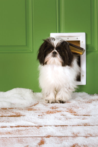 PetSafe® Extreme Weather Door™ Small PPA19-15794