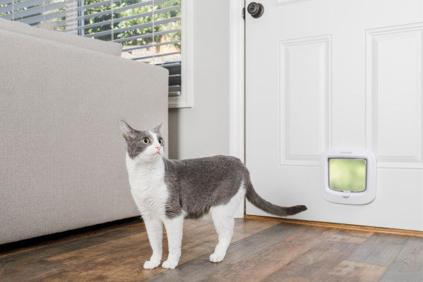 PetSafe® Manual-Locking Cat Flap White PPA19-16732