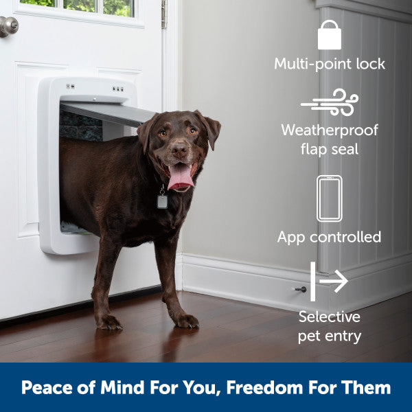 PetSafe® SmartDoor Connected Large Tunnel Extension ZAC19-17243