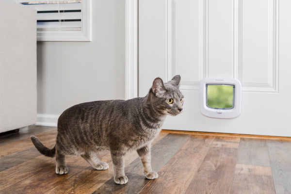 PetSafe® Manual-Locking Cat Flap White PPA19-16732