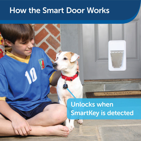PetSafe® SmartDoor Electronic Pet Door, Large PPA19-15791