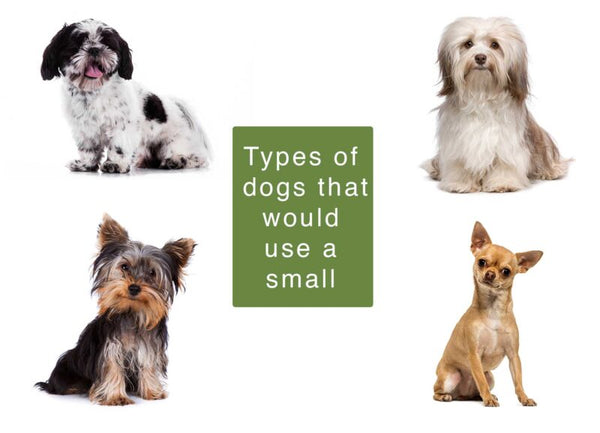 RANGER Pet Door for Doors White Frame White Flap Small DM-S-WHTWHT