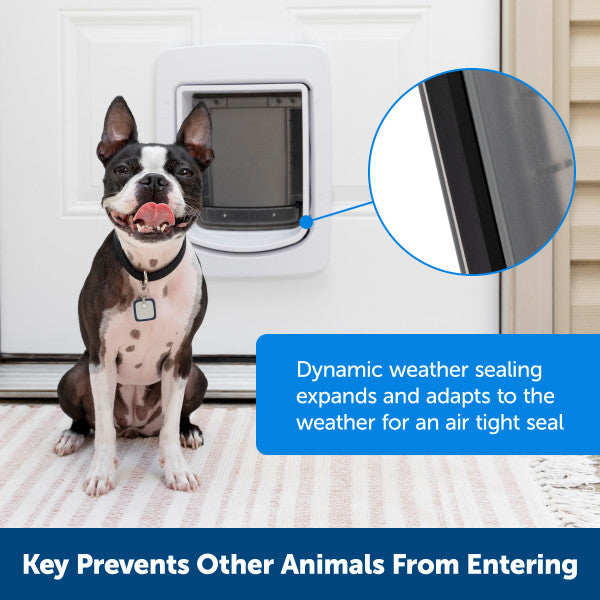 Dog door with collar sales key