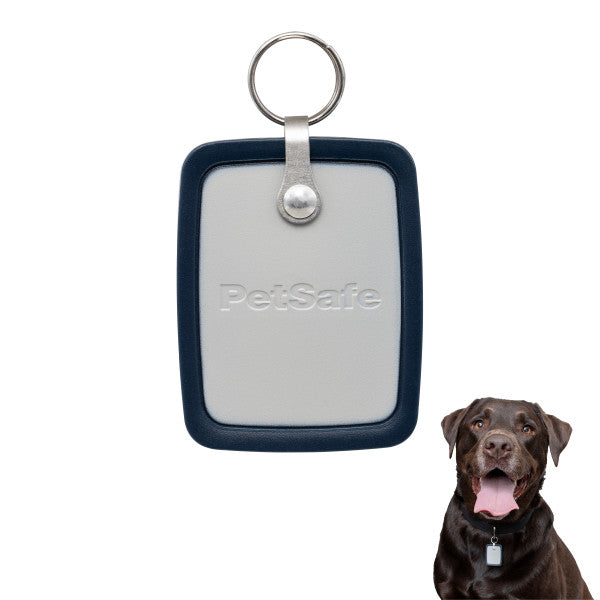 PetSafe® SmartDoor Connected Collar Key Large ZAC19-17682